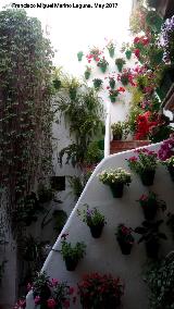 Casa de la Calle Martínez Rücker nº 1. Arcos de las escaleras